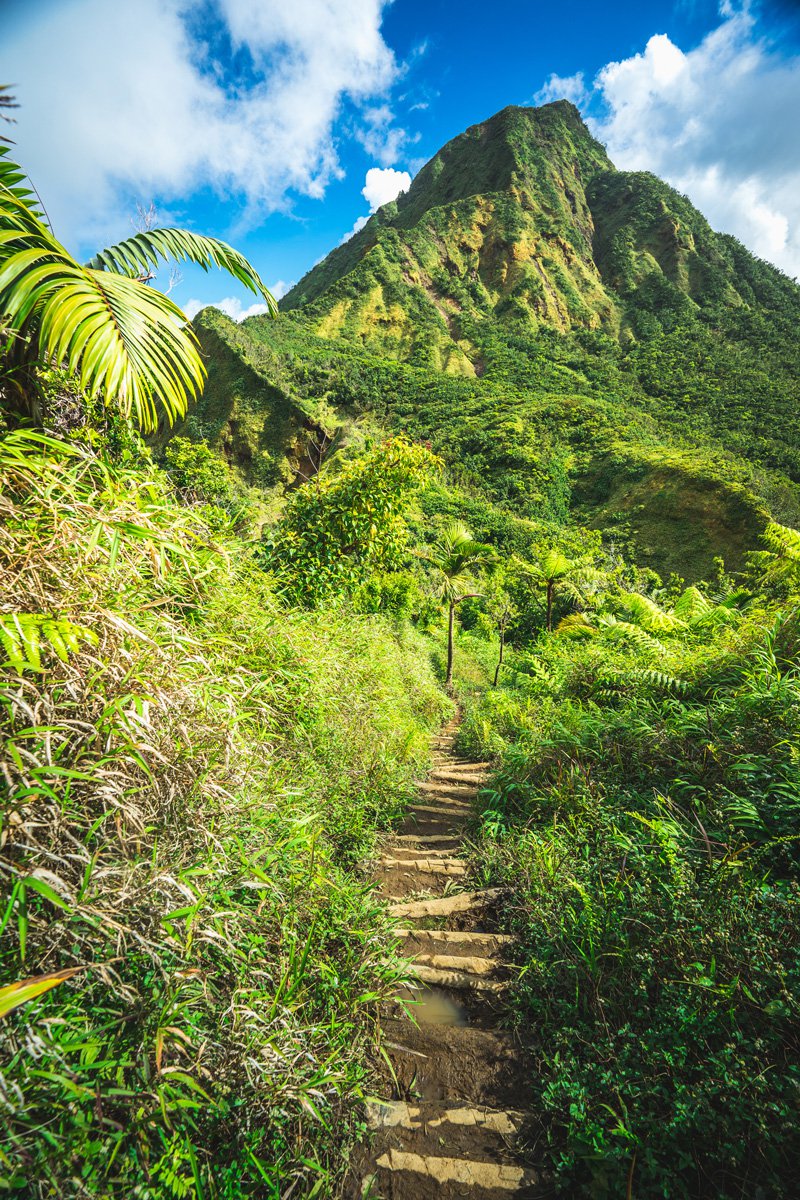 Trail on a mountain