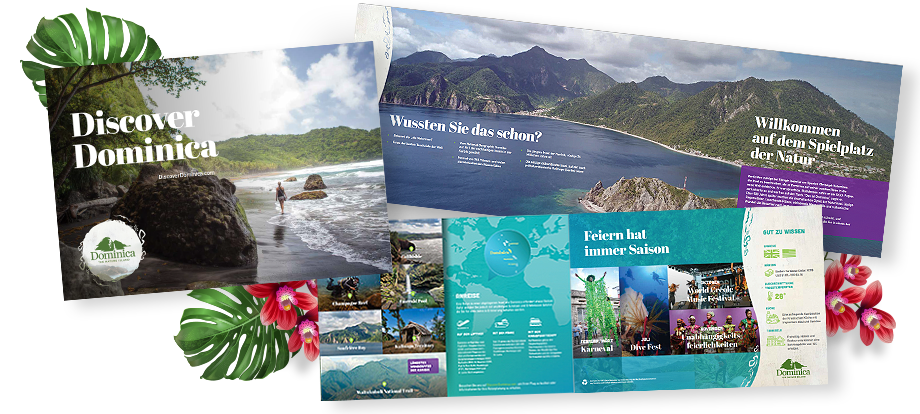 Travel Brochure